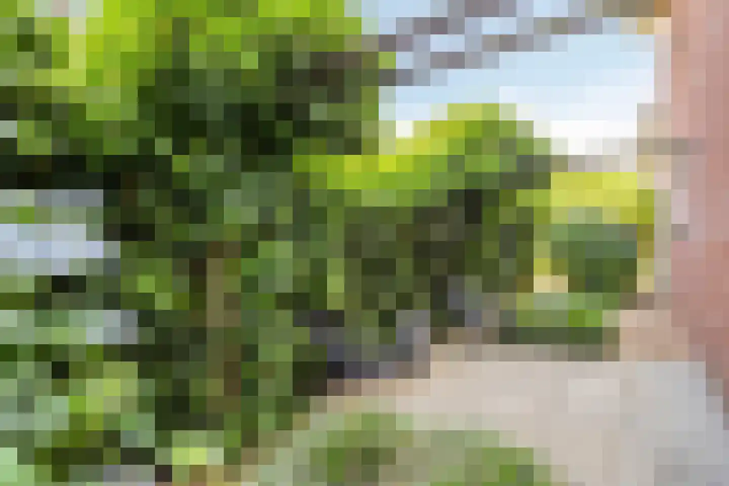 Keltenveld 41 Arnhem thumbnail 40