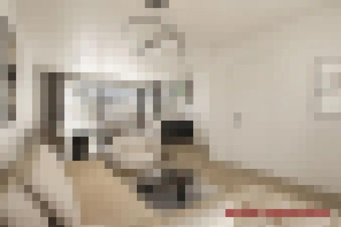 Kelvinstraat 1 's-Hertogenbosch thumbnail 5