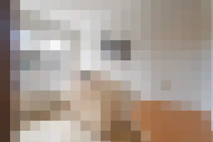 Kelvinstraat 11 Maastricht thumbnail 10