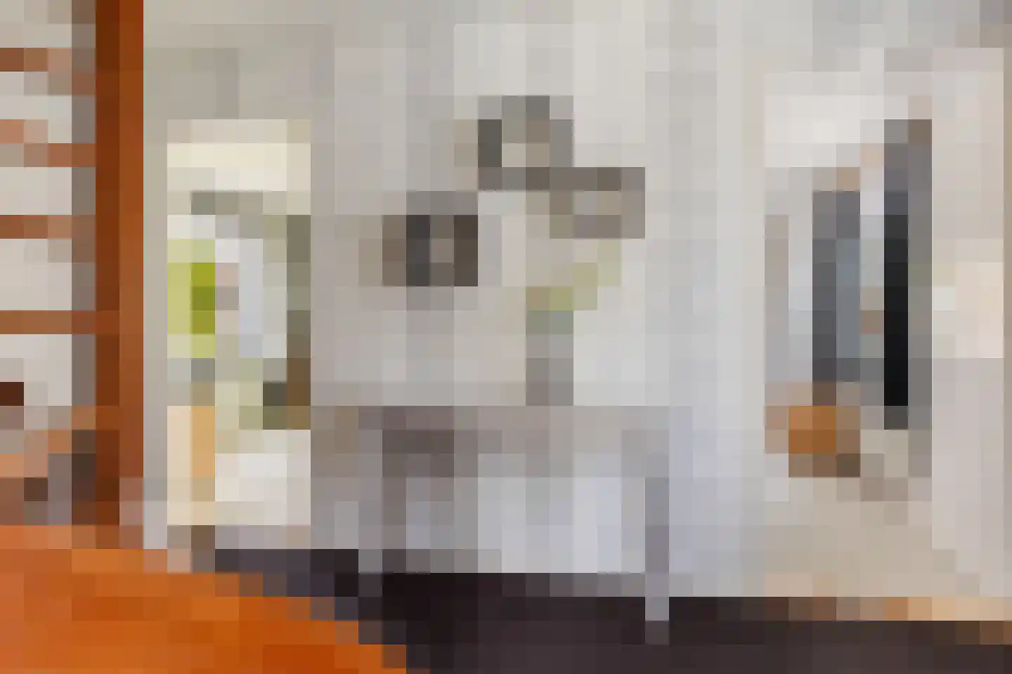 Kelvinstraat 2 Apeldoorn thumbnail 23