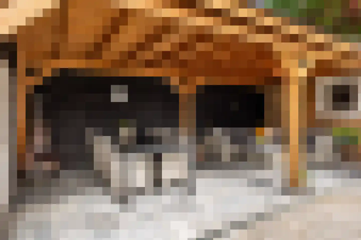 Kelvinstraat 2 Apeldoorn thumbnail 34