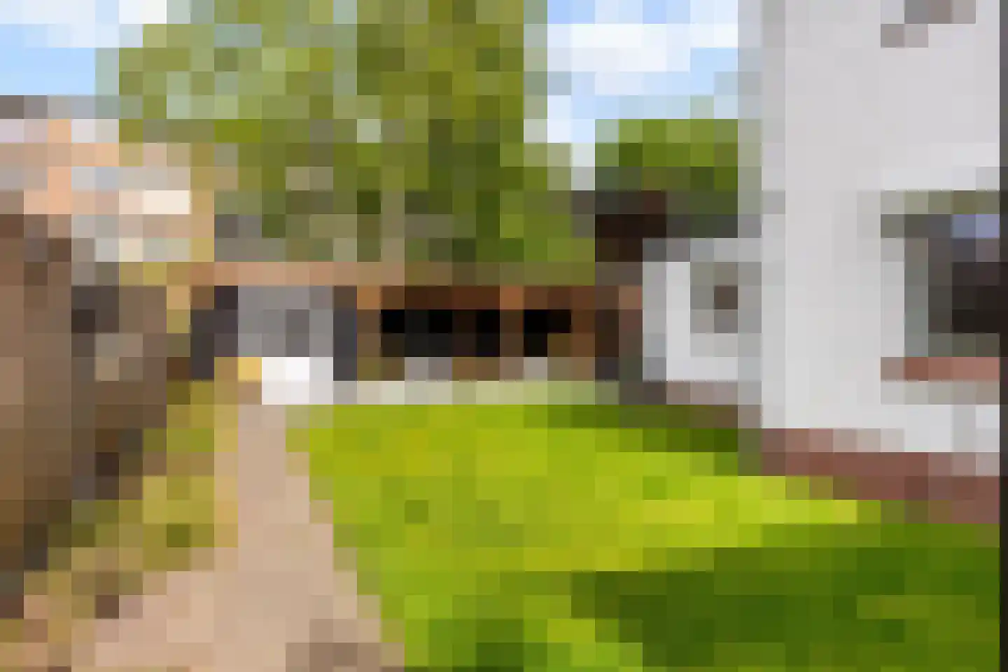 Kelvinstraat 2 Apeldoorn thumbnail 35