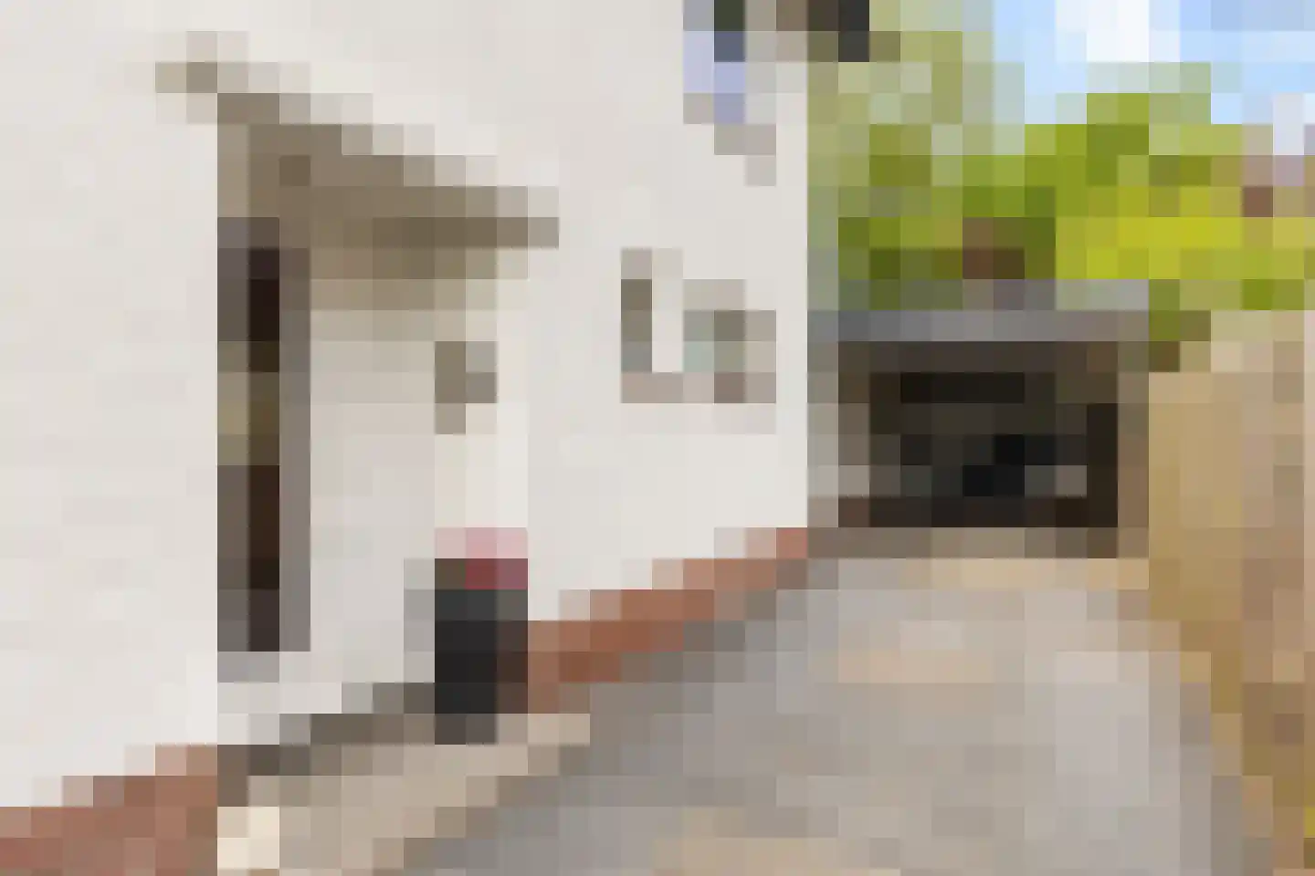 Kelvinstraat 2 Apeldoorn thumbnail 38