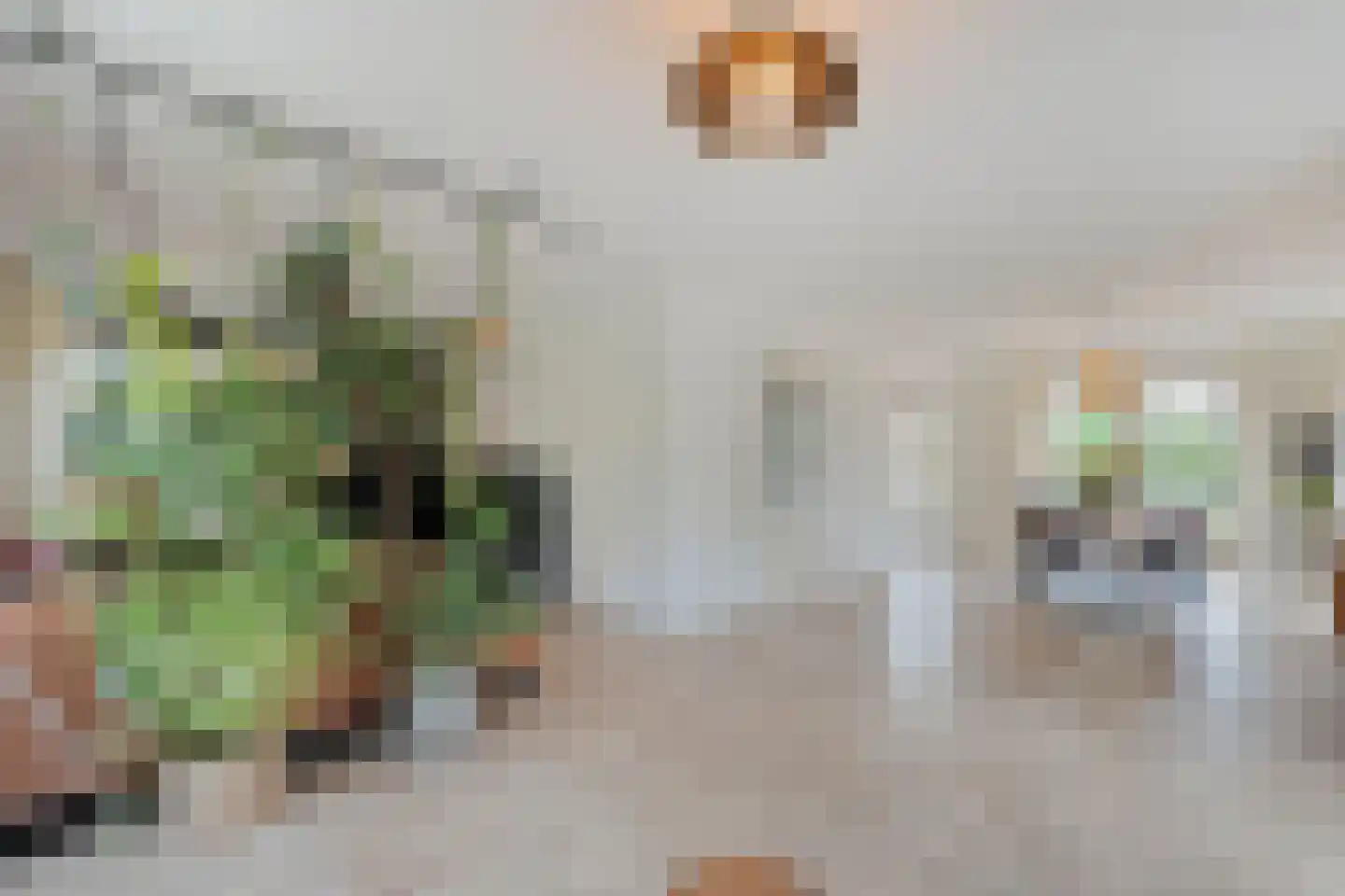 Kelvinstraat 5 Dedemsvaart thumbnail 10