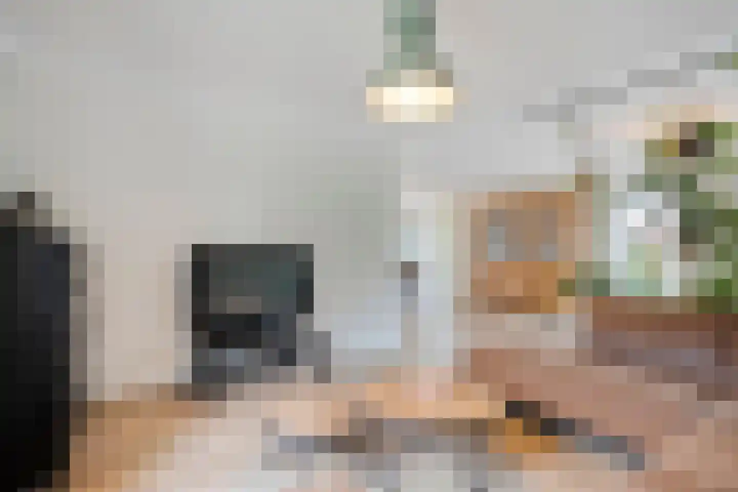 Kelvinstraat 5 Dedemsvaart thumbnail 16