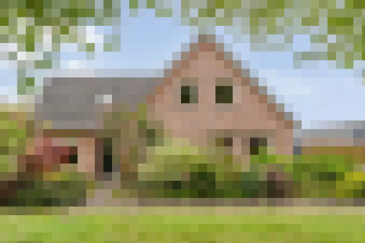 Kelvinstraat 5 Dedemsvaart foto 2