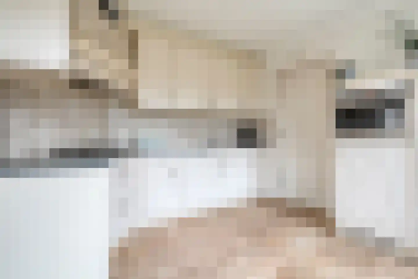 Kelvinstraat 5 Dedemsvaart thumbnail 20