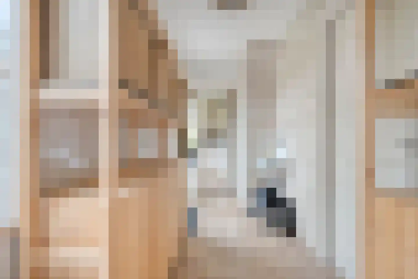 Kelvinstraat 5 Dedemsvaart thumbnail 22