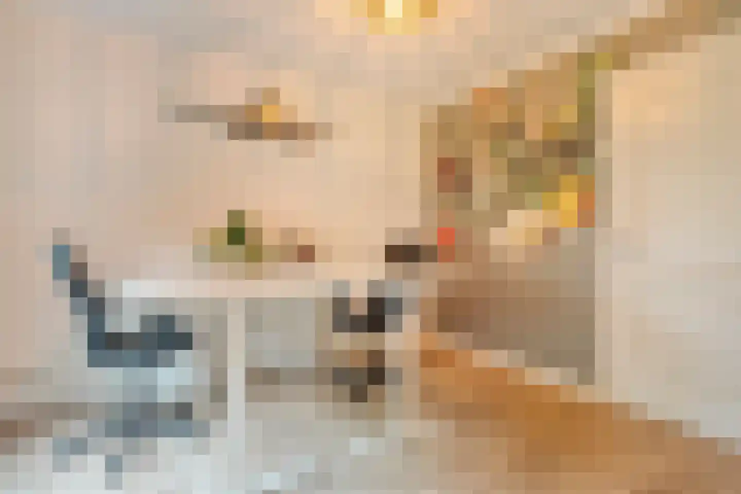 Kelvinstraat 5 Dedemsvaart thumbnail 24