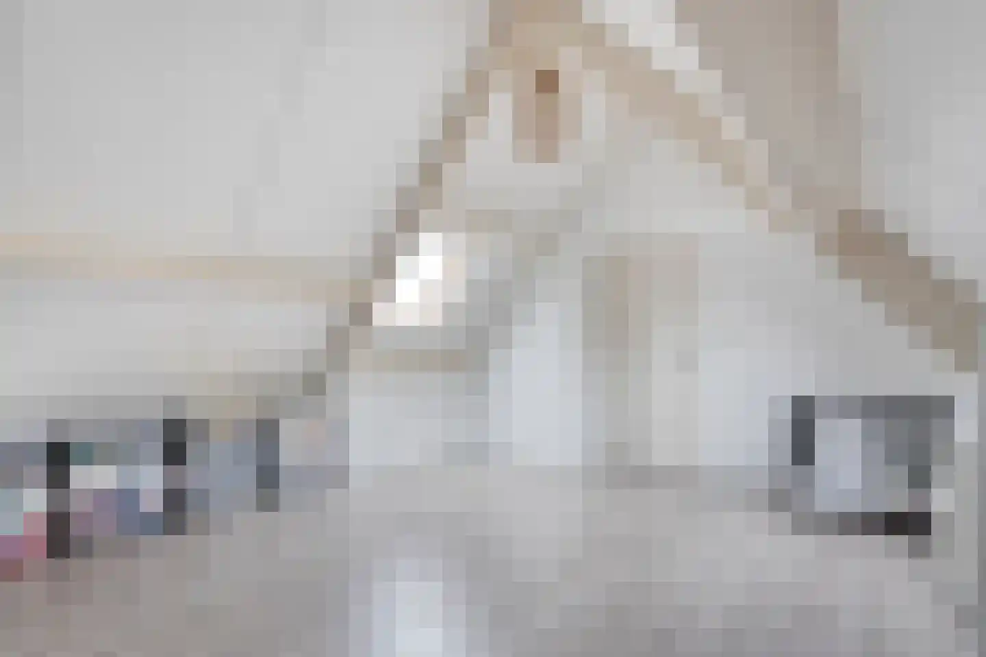 Kelvinstraat 5 Dedemsvaart thumbnail 37