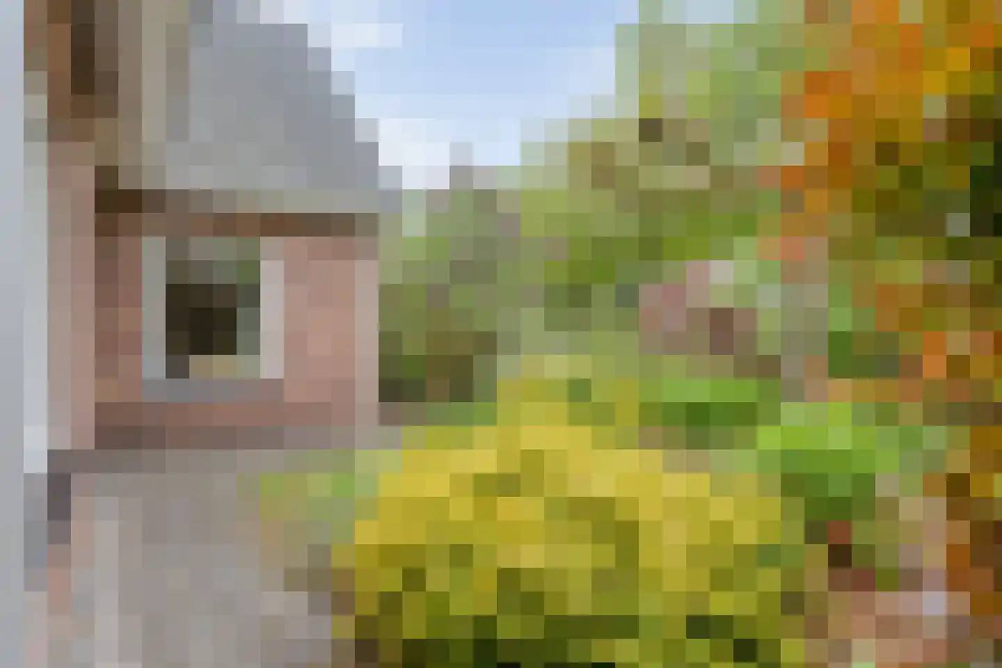 Kelvinstraat 5 Dedemsvaart thumbnail 47