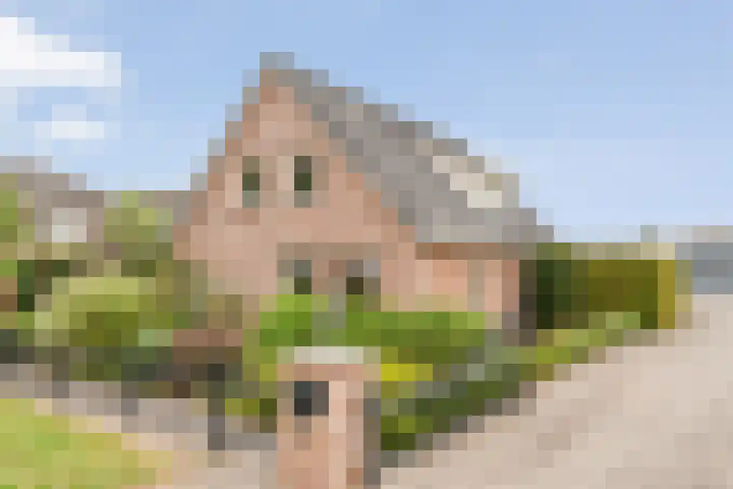 Kelvinstraat 5 Dedemsvaart thumbnail 49