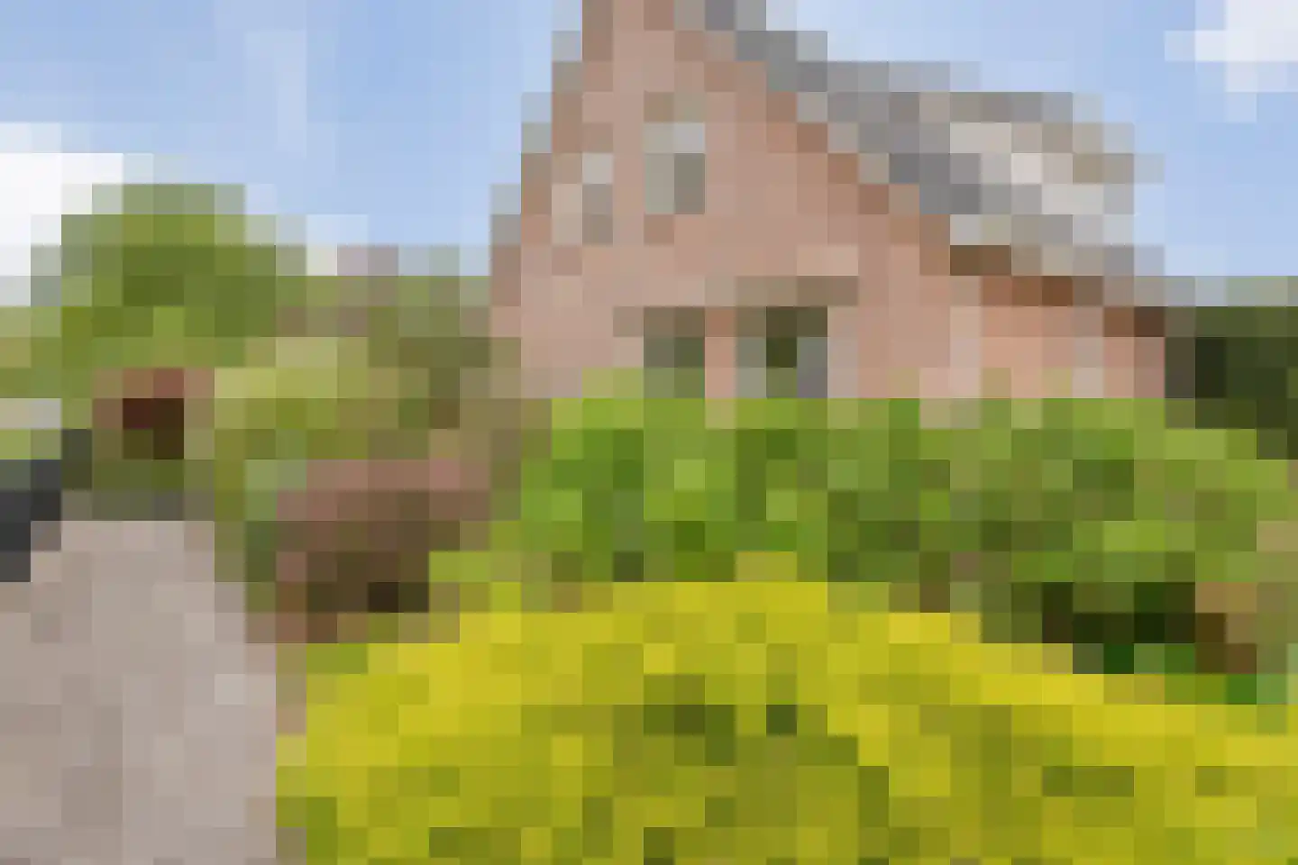 Kelvinstraat 5 Dedemsvaart thumbnail 50