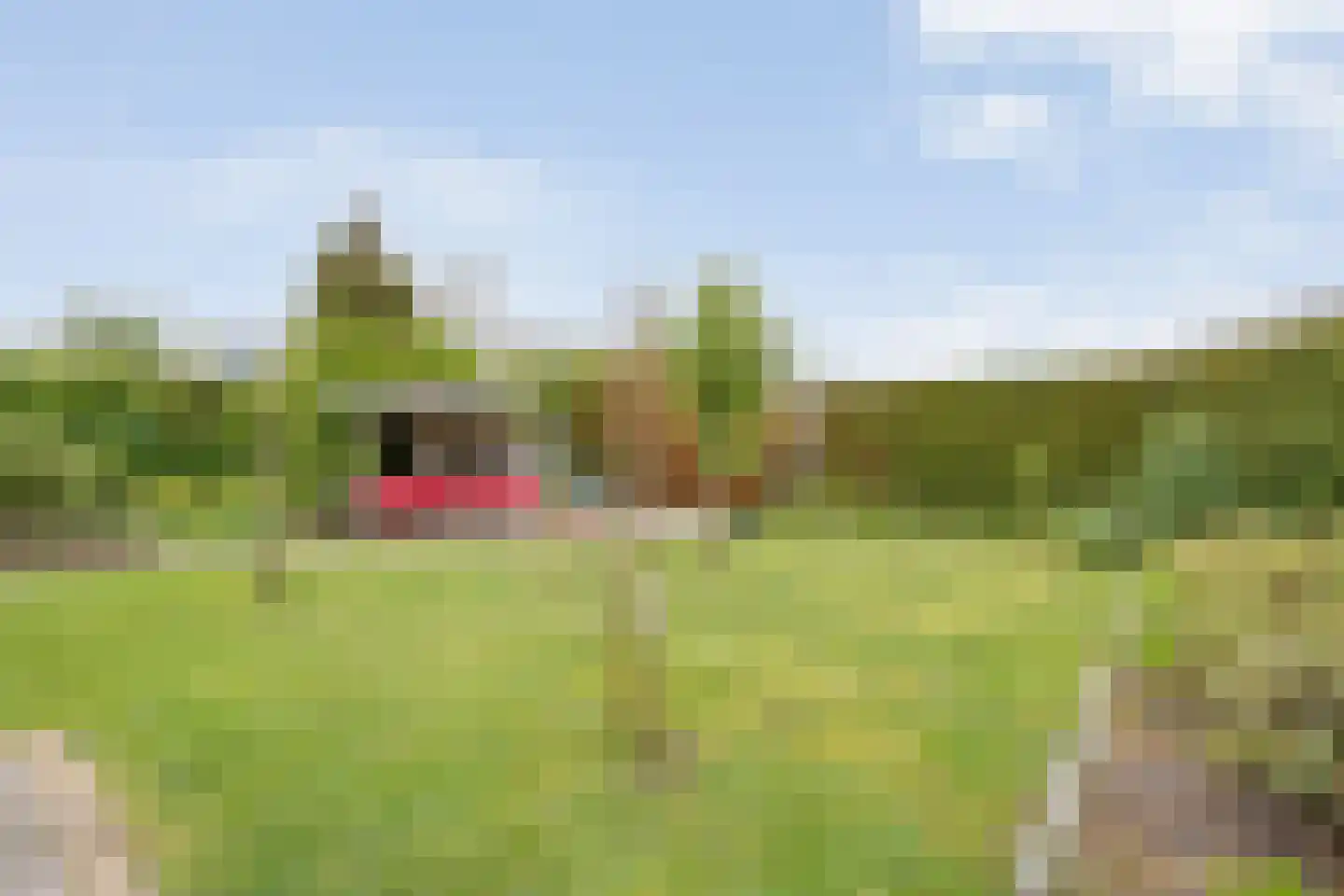 Kelvinstraat 5 Dedemsvaart thumbnail 56