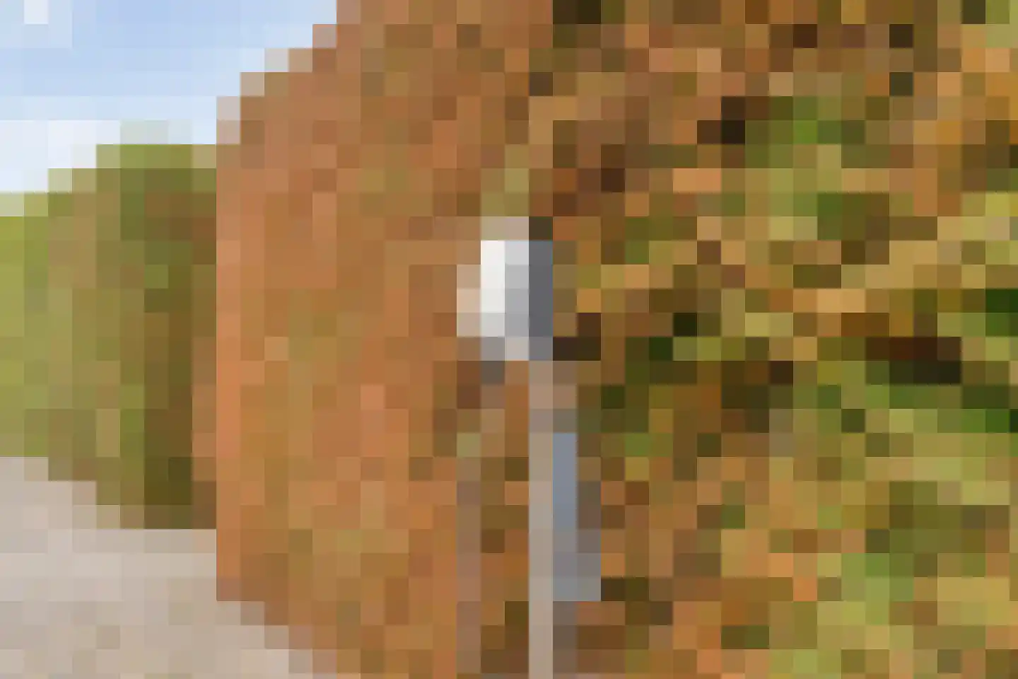 Kelvinstraat 5 Dedemsvaart thumbnail 61