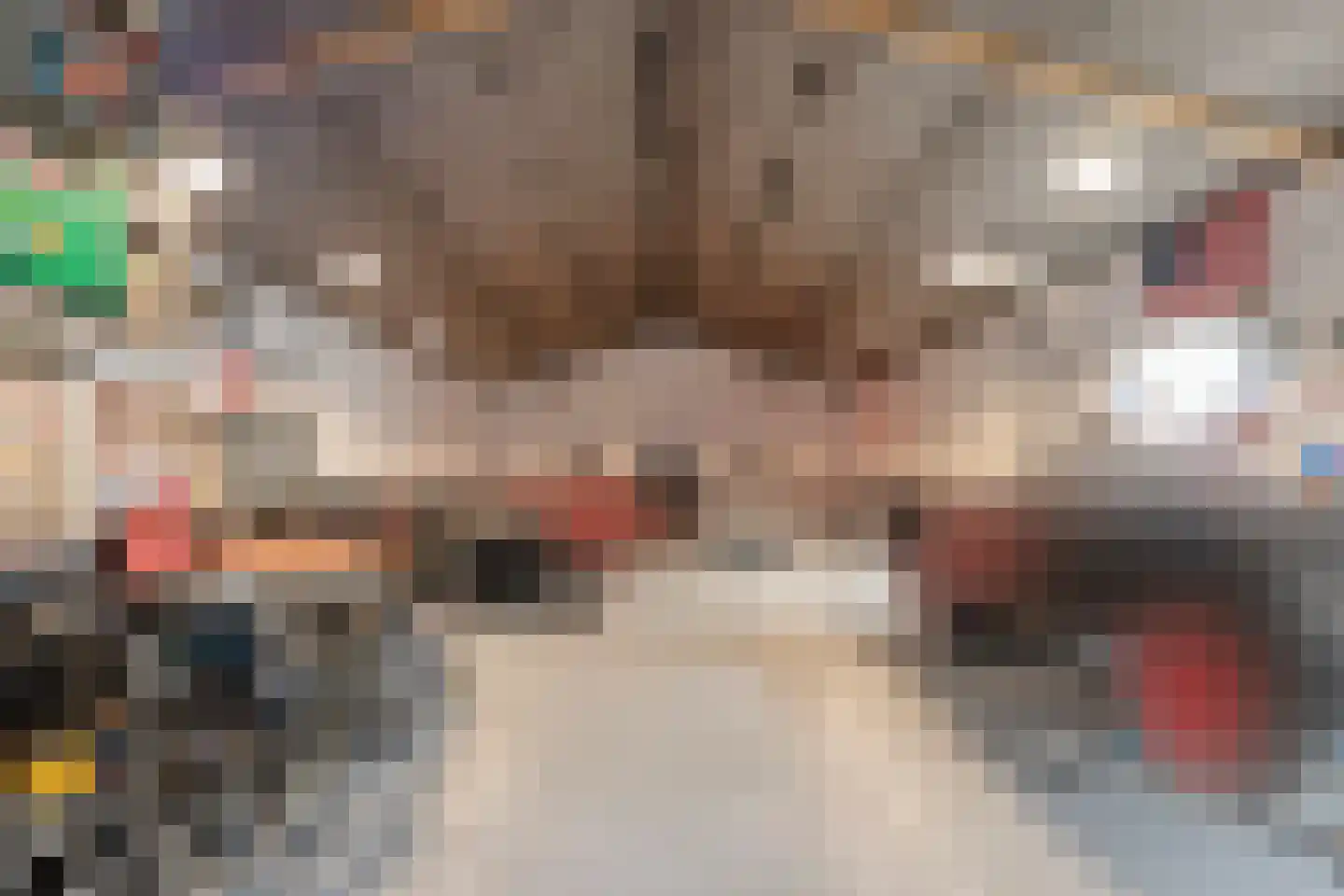 Kelvinstraat 5 Dedemsvaart thumbnail 64