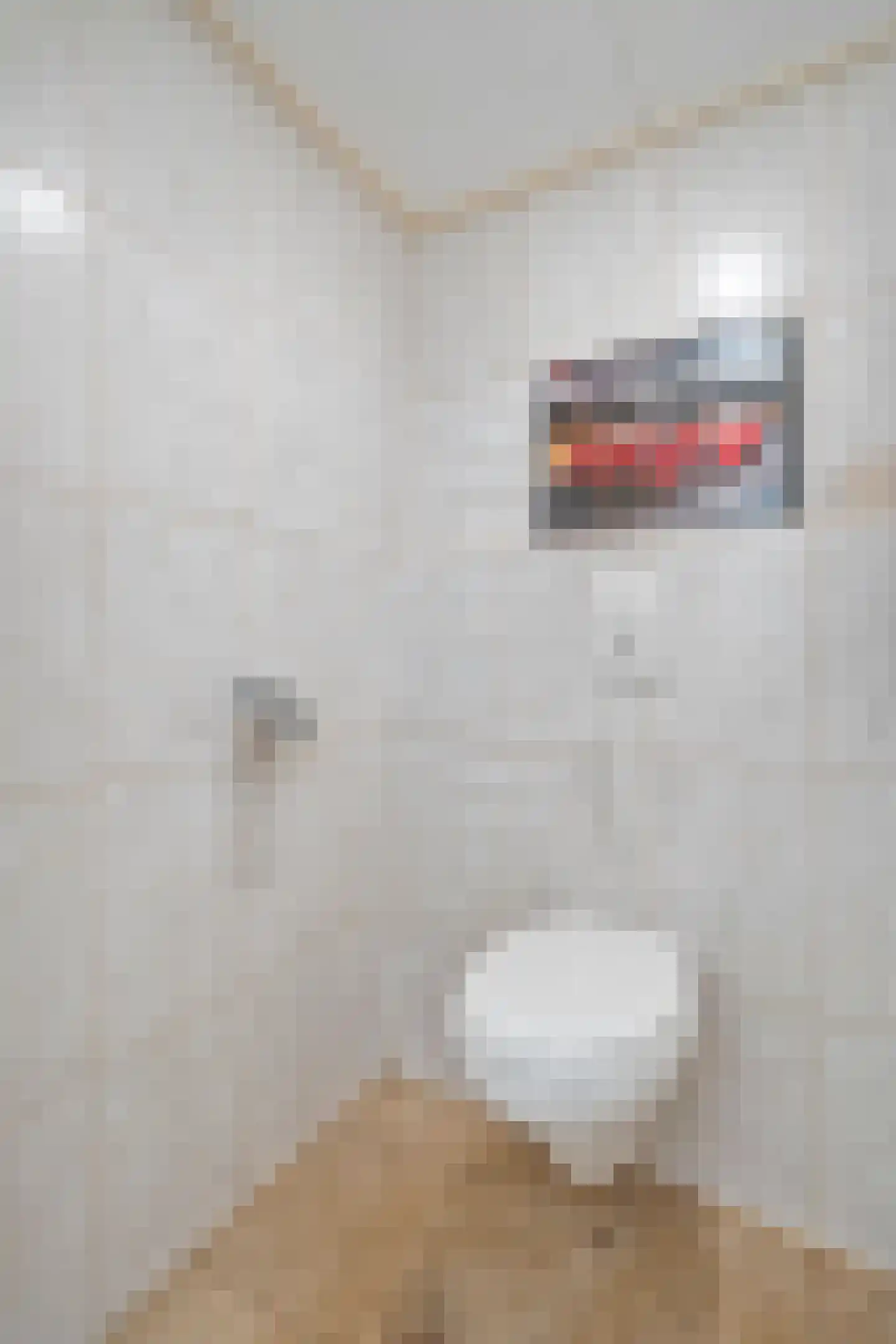 Kelvinstraat 5 Dedemsvaart thumbnail 65