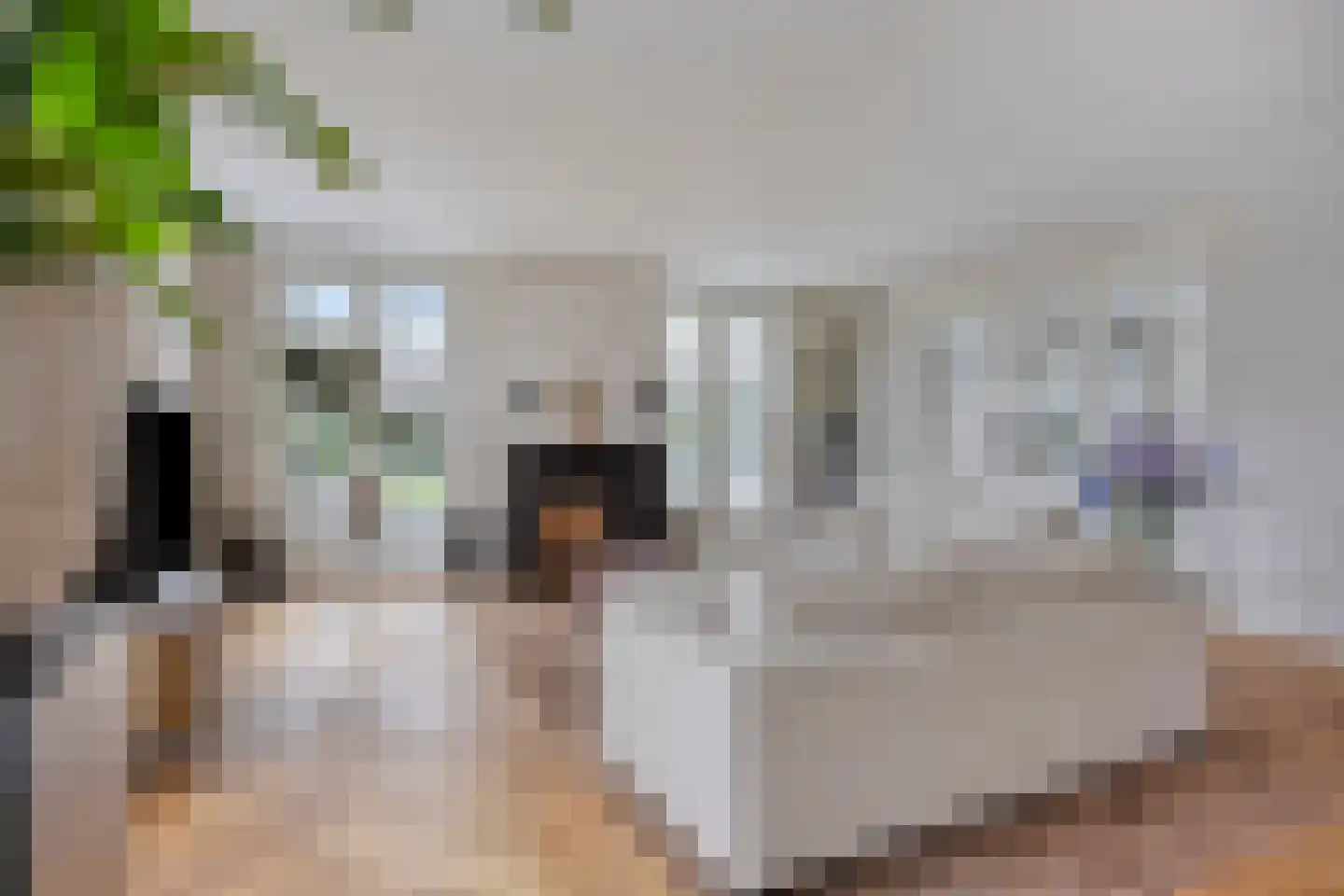 Kelvinstraat 61 Wijchen thumbnail 10