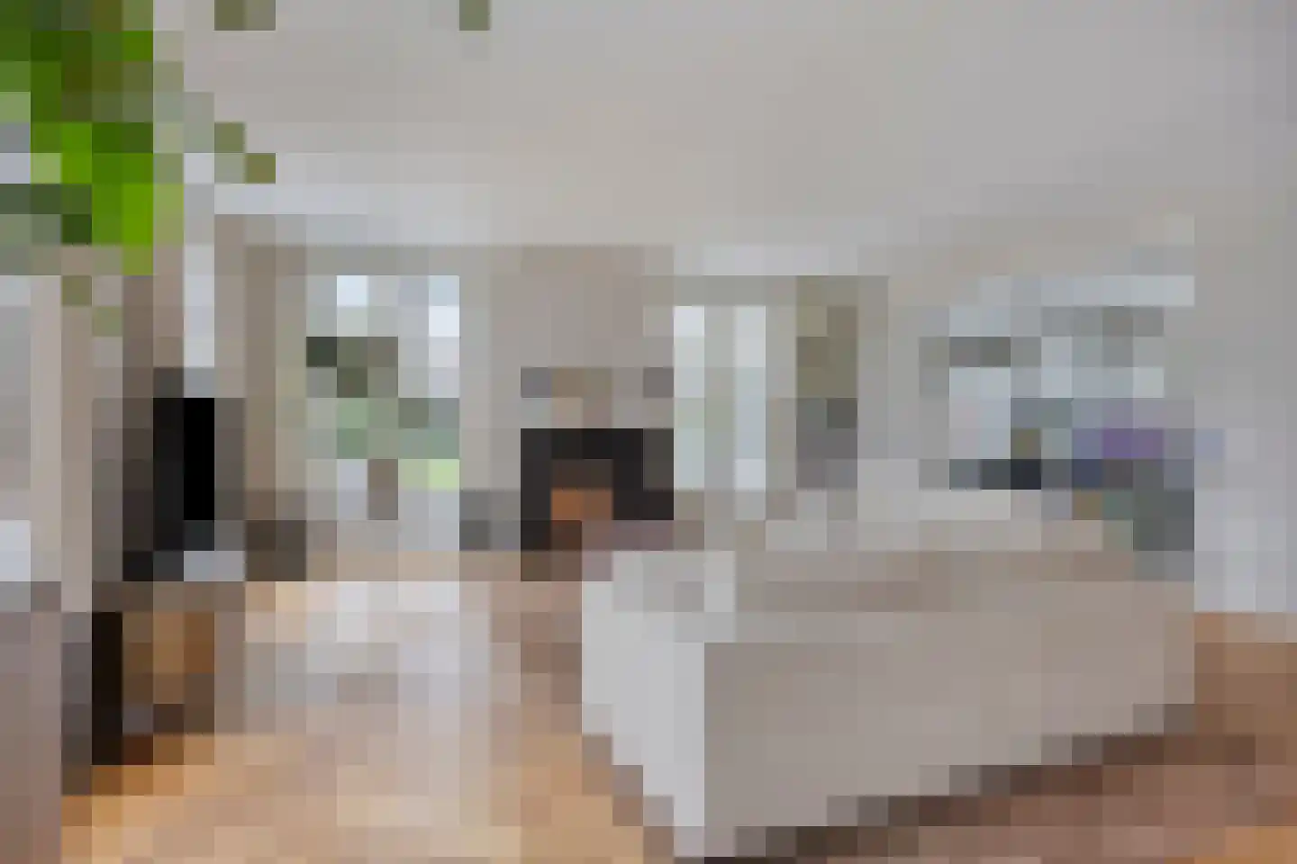 Kelvinstraat 61 Wijchen thumbnail 11