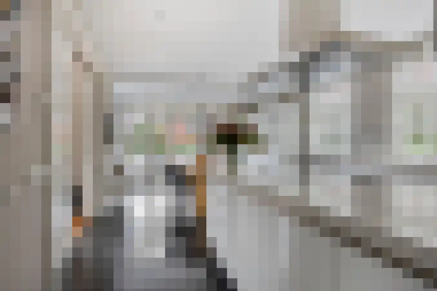 Kelvinstraat 61 Wijchen thumbnail 13