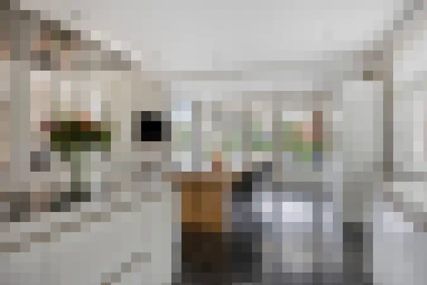 Kelvinstraat 61 Wijchen thumbnail 14