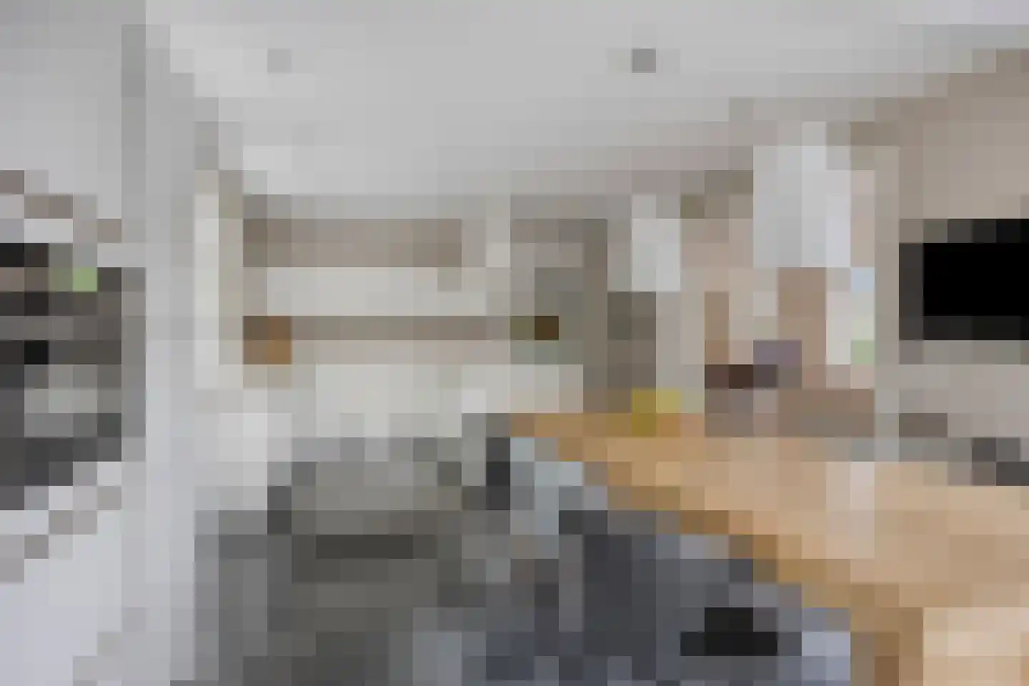 Kelvinstraat 61 Wijchen thumbnail 17