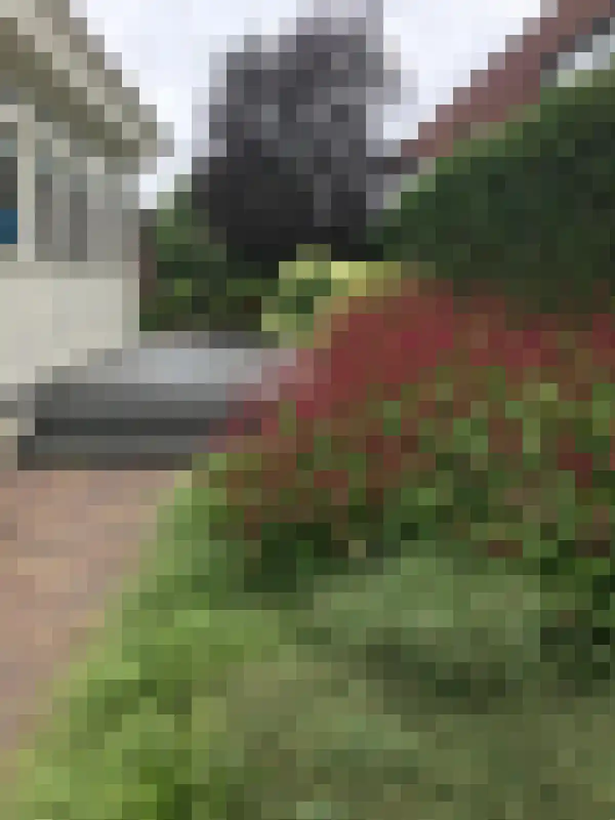 Kelvinstraat 61 Wijchen thumbnail 45