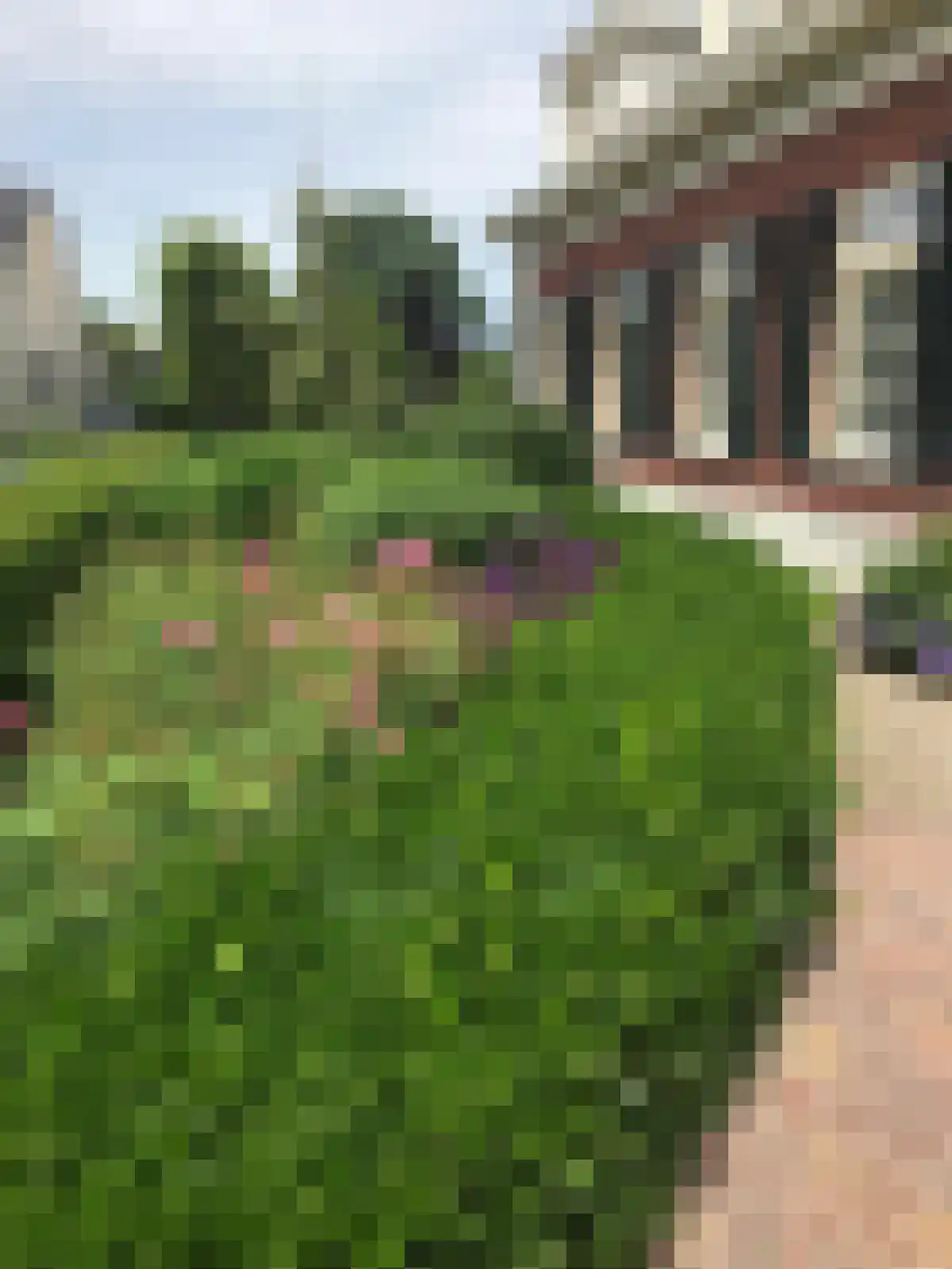 Kelvinstraat 61 Wijchen thumbnail 46