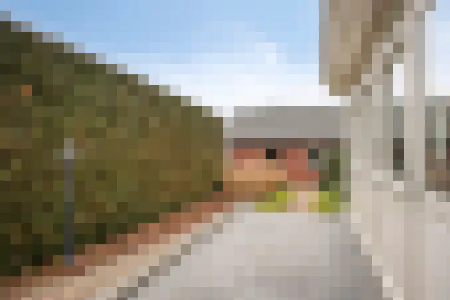 Kelvinstraat 61 Wijchen thumbnail 50