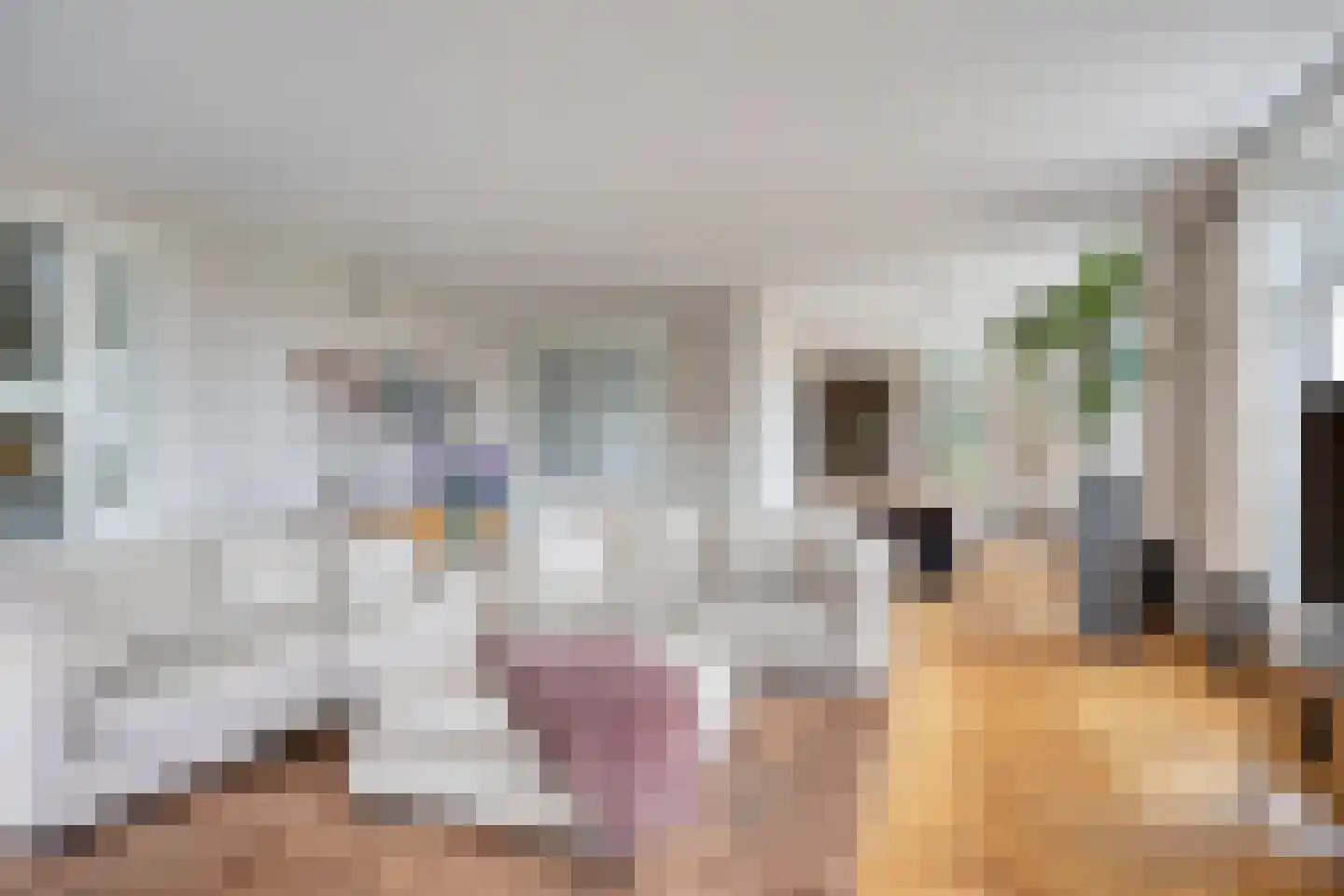 Kelvinstraat 61 Wijchen thumbnail 7