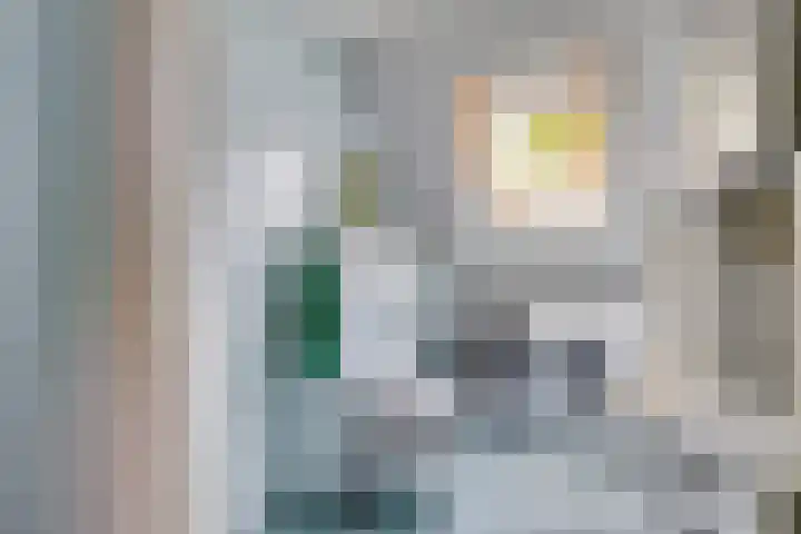 Kelwis 26 Berlicum thumbnail 14