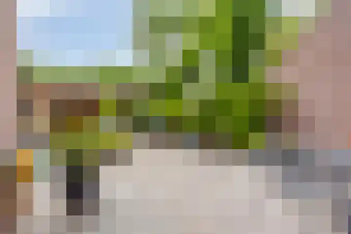 Kelwis 26 Berlicum thumbnail 19