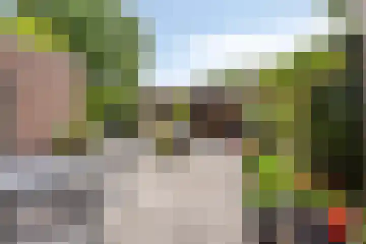 Kelwis 26 Berlicum thumbnail 20