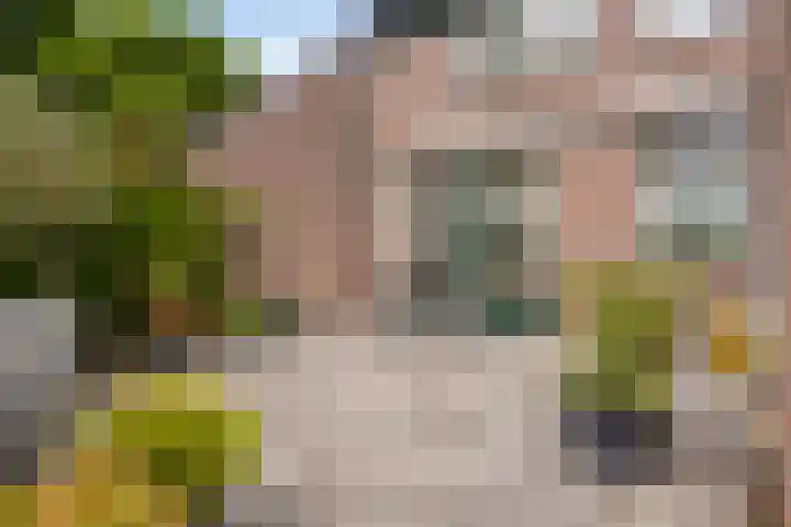 Kelwis 26 Berlicum thumbnail 21