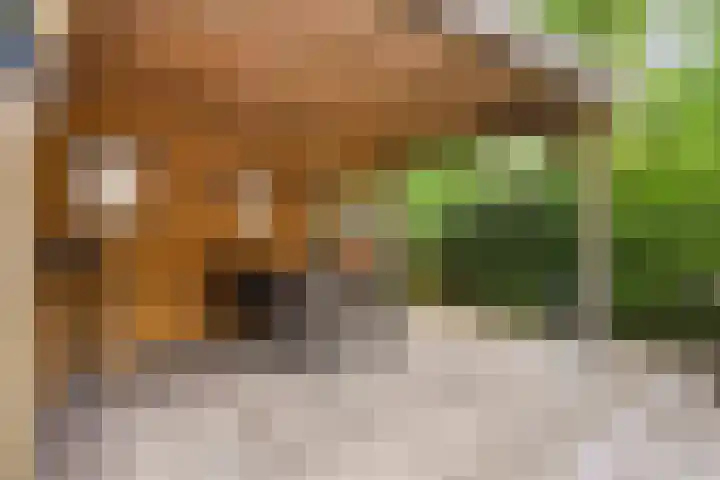 Kelwis 26 Berlicum thumbnail 22