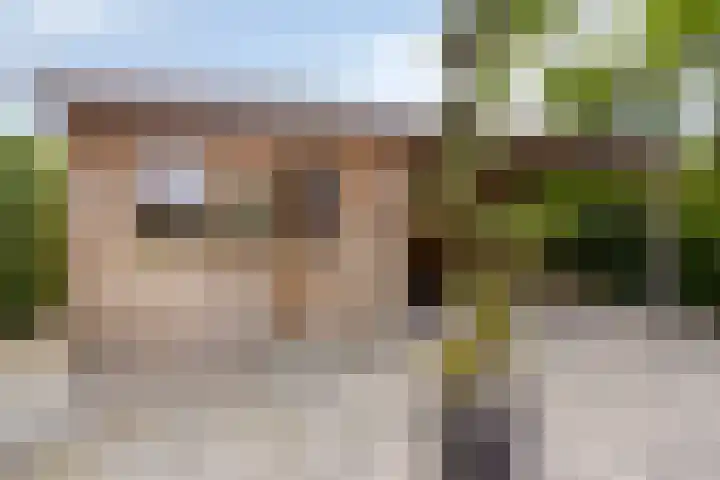 Kelwis 26 Berlicum thumbnail 24