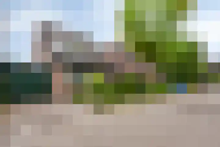 Kelwis 26 Berlicum thumbnail 26