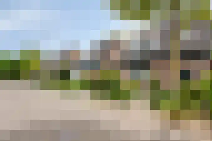 Kelwis 26 Berlicum thumbnail 27