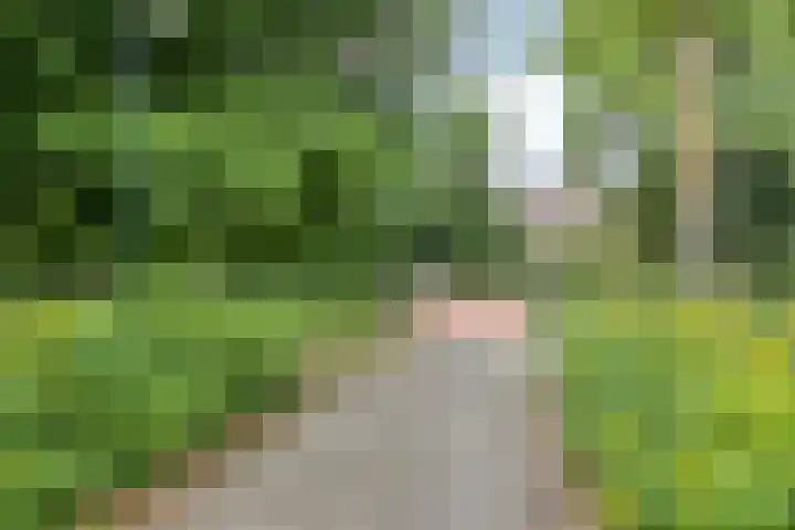Kelwis 26 Berlicum thumbnail 29