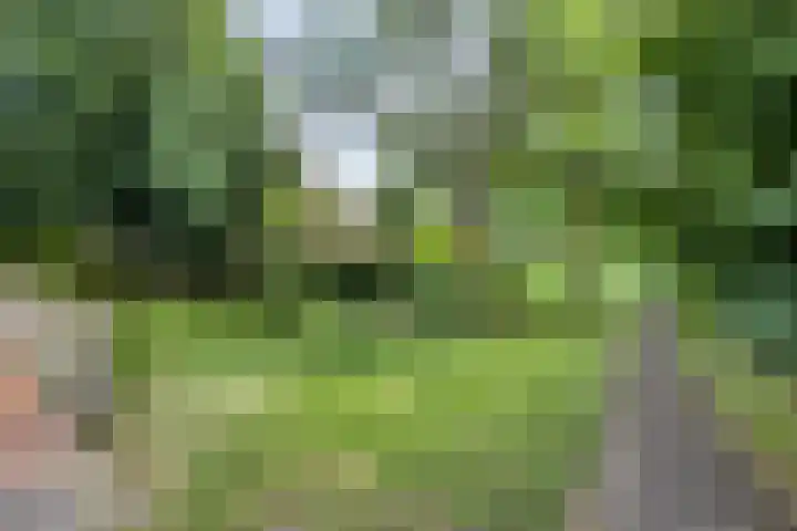 Kelwis 26 Berlicum thumbnail 30