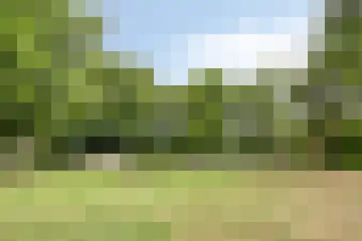 Kelwis 26 Berlicum thumbnail 31