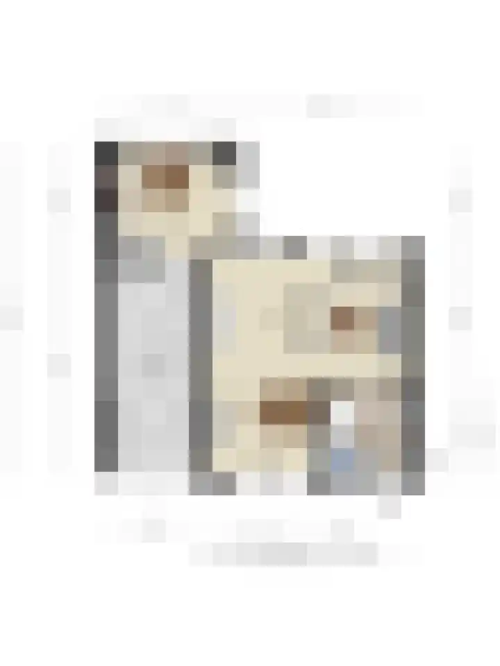 Kelwis 26 Berlicum thumbnail 32