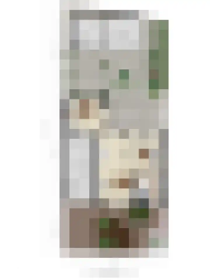 Kelwis 26 Berlicum thumbnail 33
