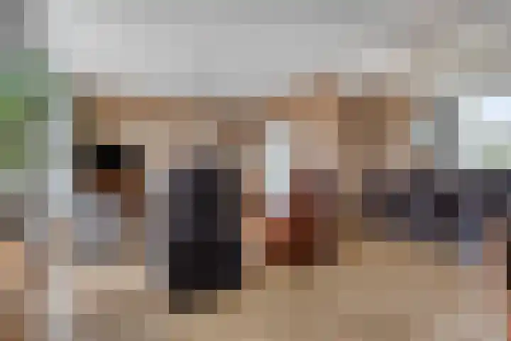 Kelwis 26 Berlicum thumbnail 5