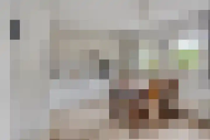 Kelwis 26 Berlicum thumbnail 6
