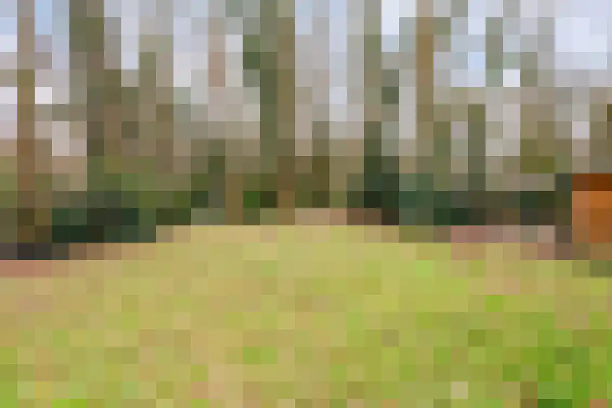 Kem 13 Schinveld thumbnail 32