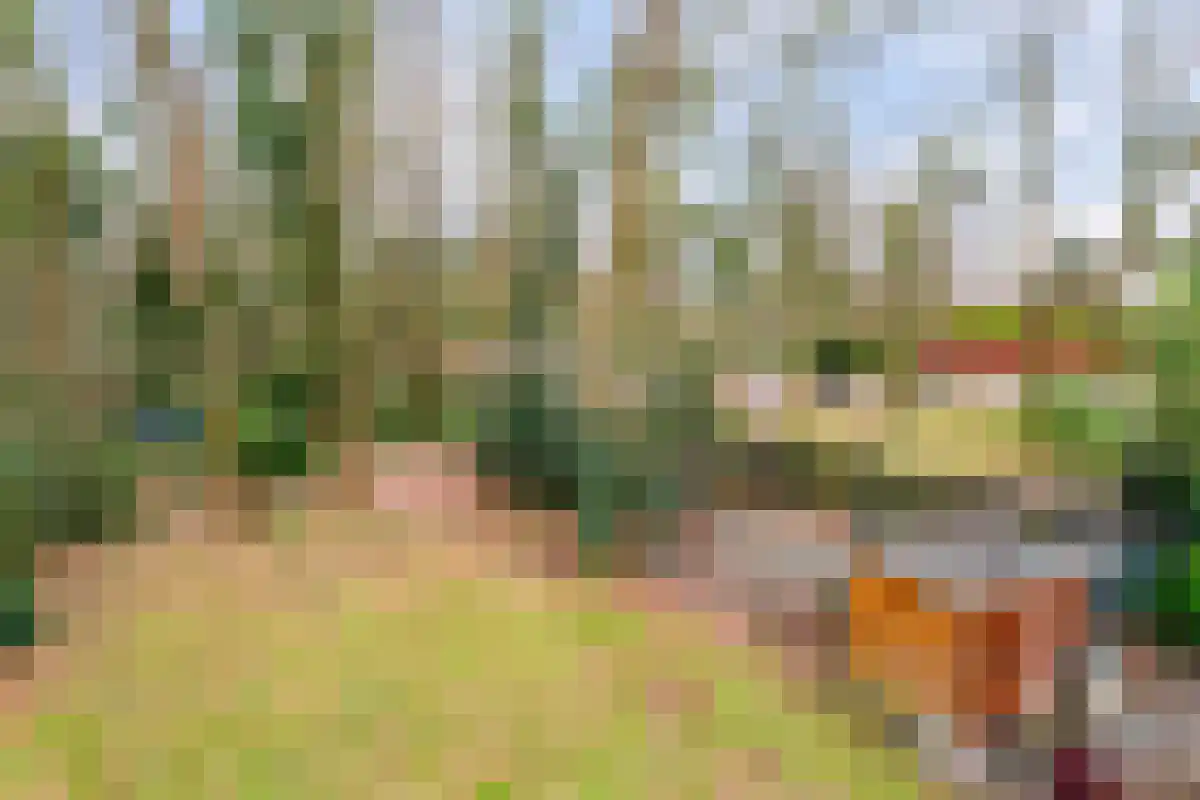 Kem 13 Schinveld thumbnail 33