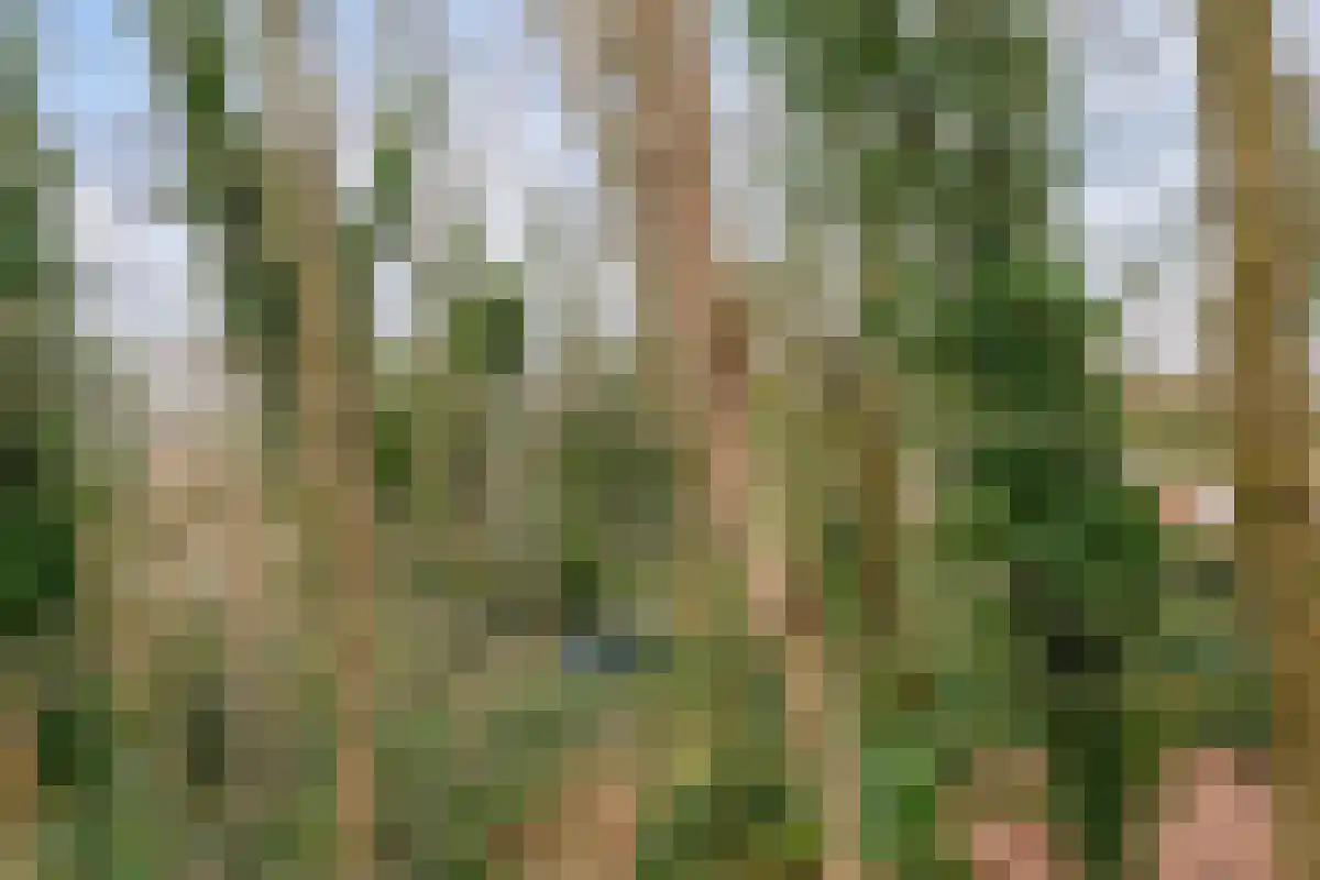 Kem 13 Schinveld thumbnail 34