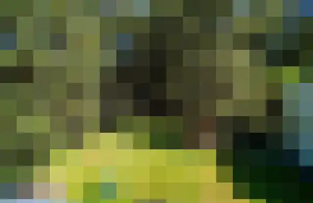 Kem 13 Schinveld thumbnail 47