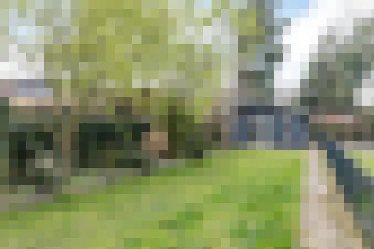 Kem 24 Schinveld foto 3